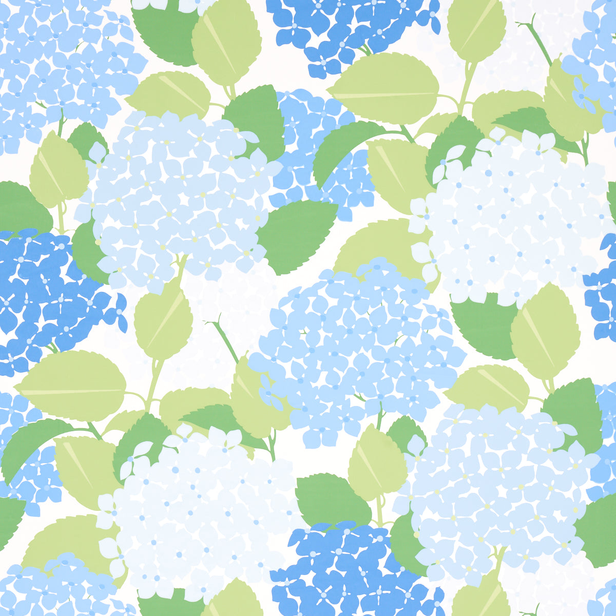 HYDRANGEA PORCELAIN