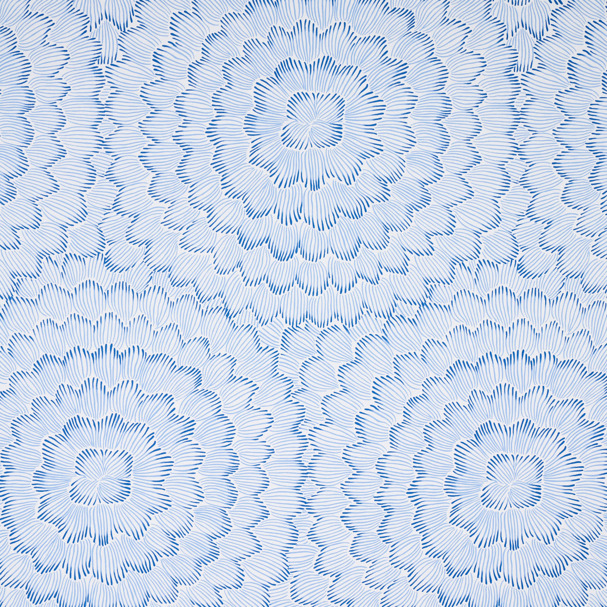 FEATHER BLOOM BLUE