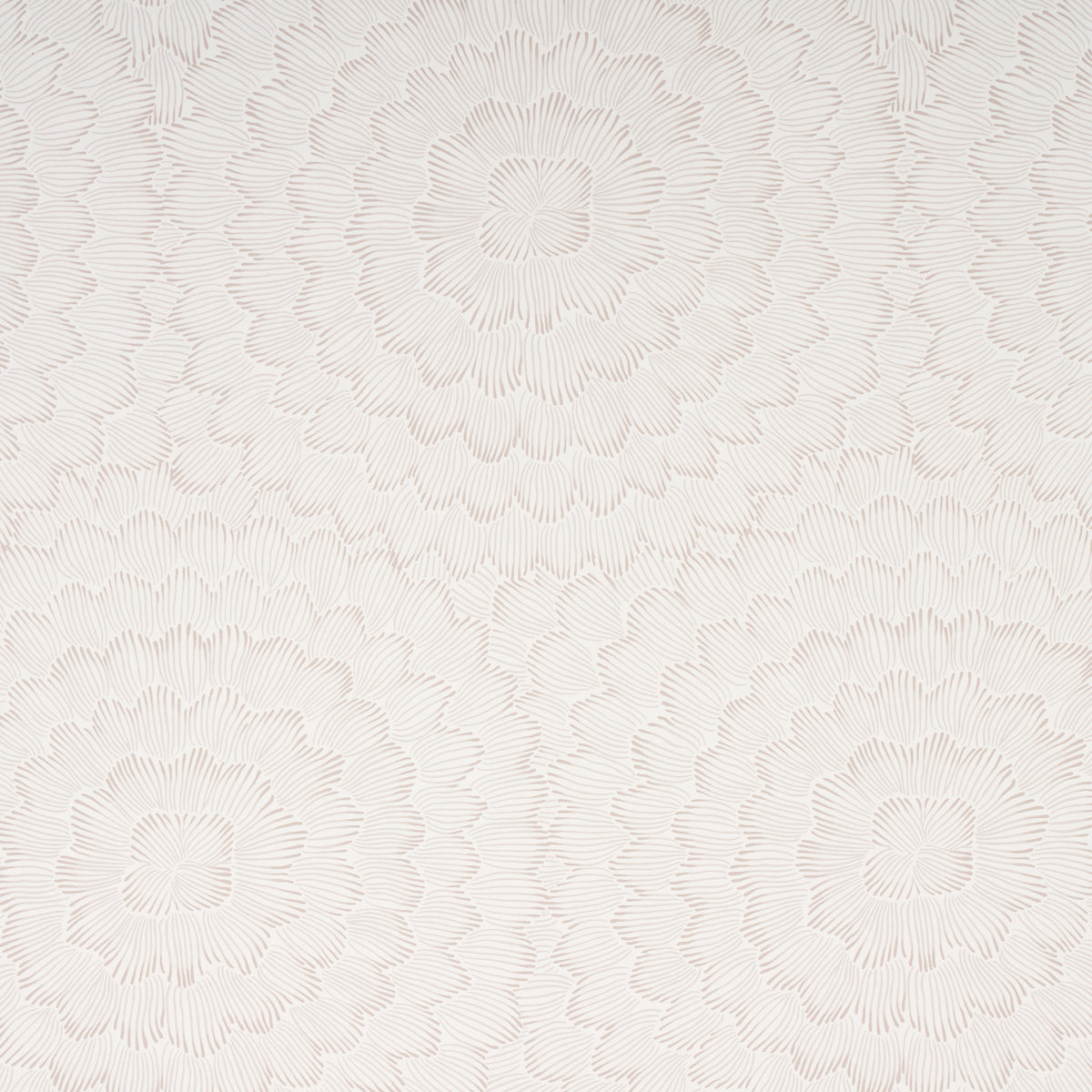 FEATHER BLOOM SOFT NEUTRAL