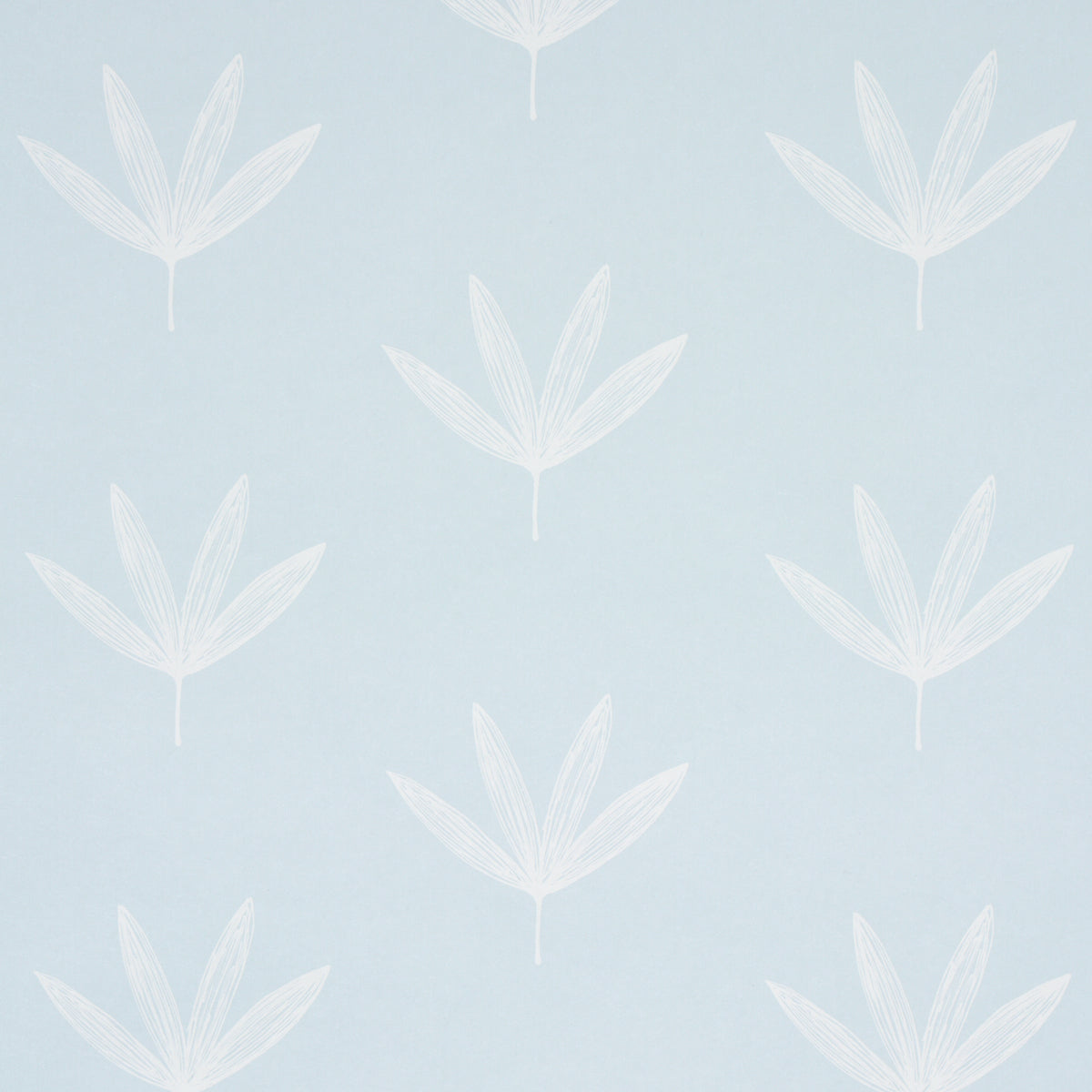 RUE SKY