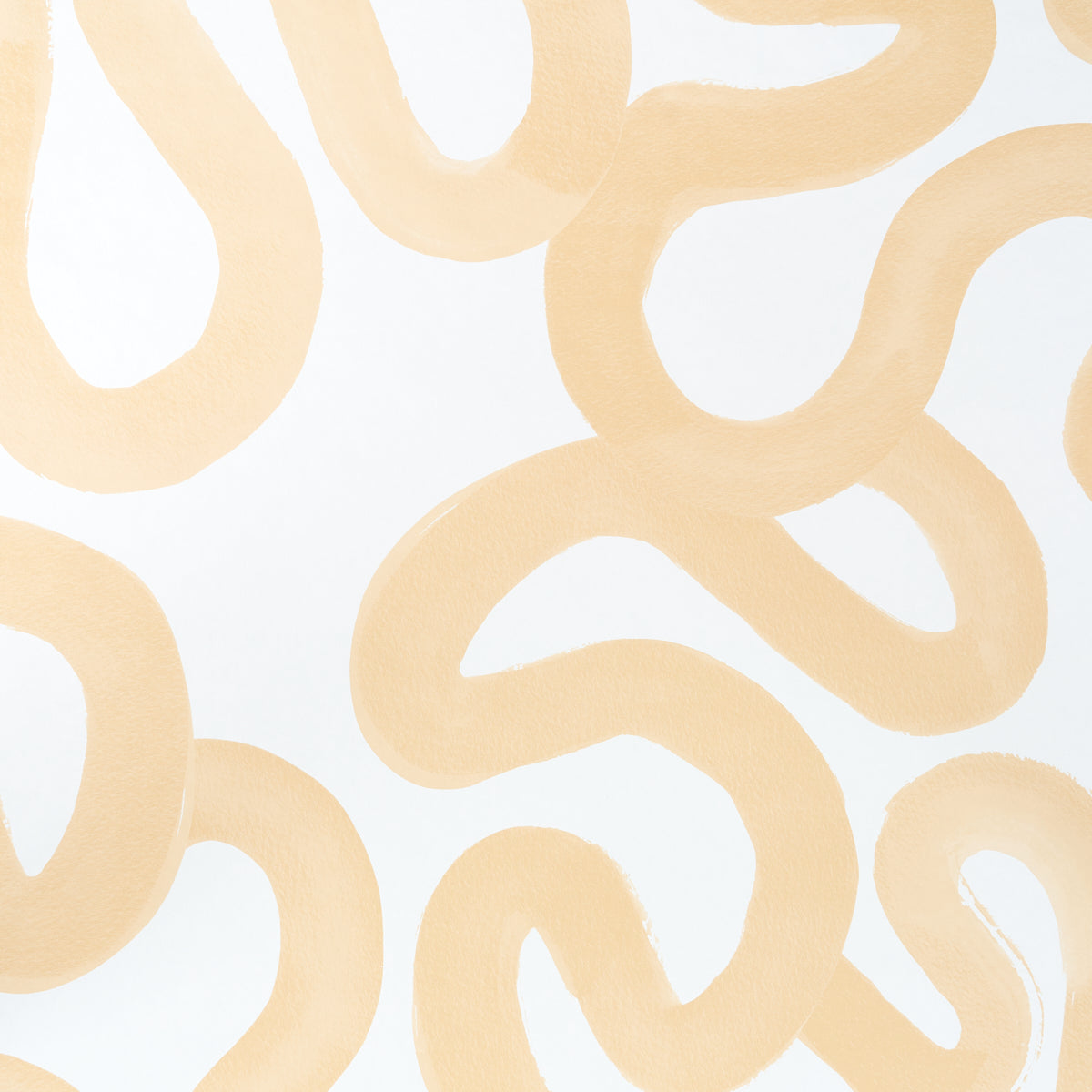 TRACE OCHRE