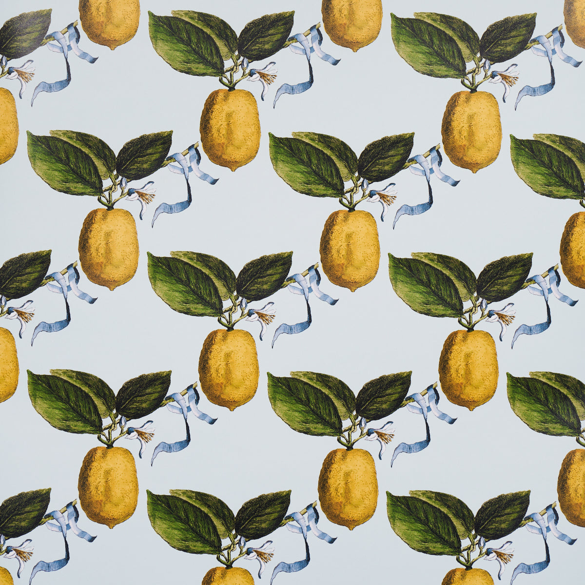 LE CITRON SKY