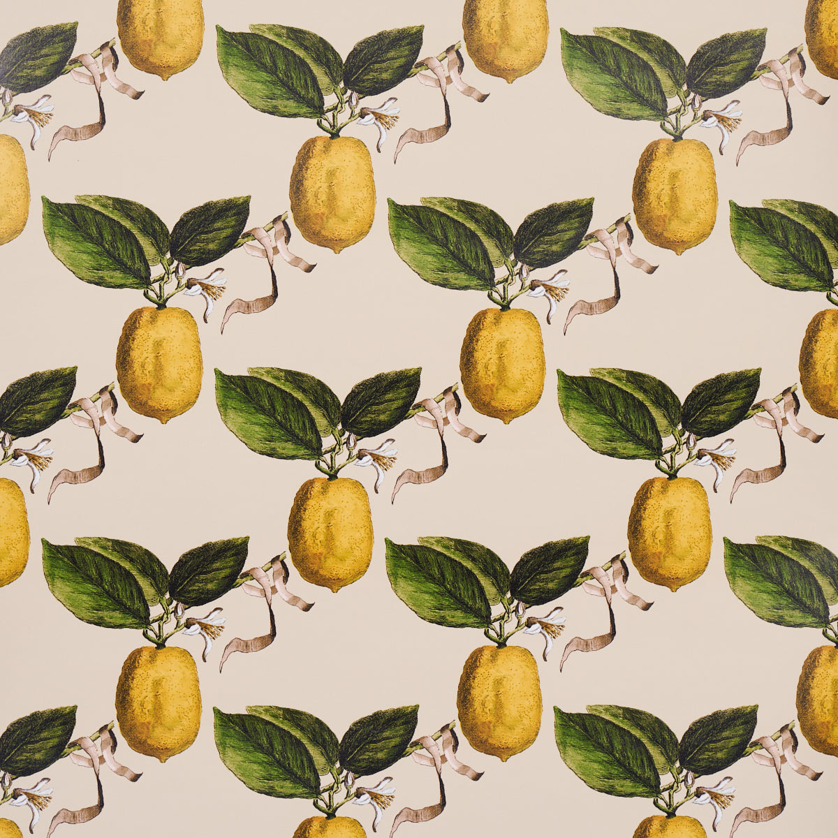 LE CITRON NATURAL