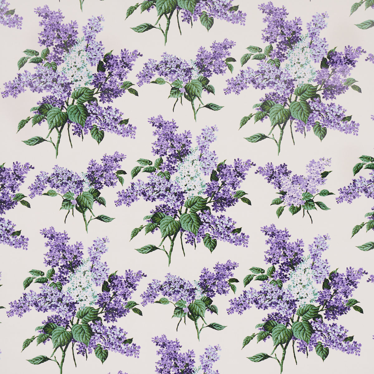 PROUST'S LILACS PURPLE