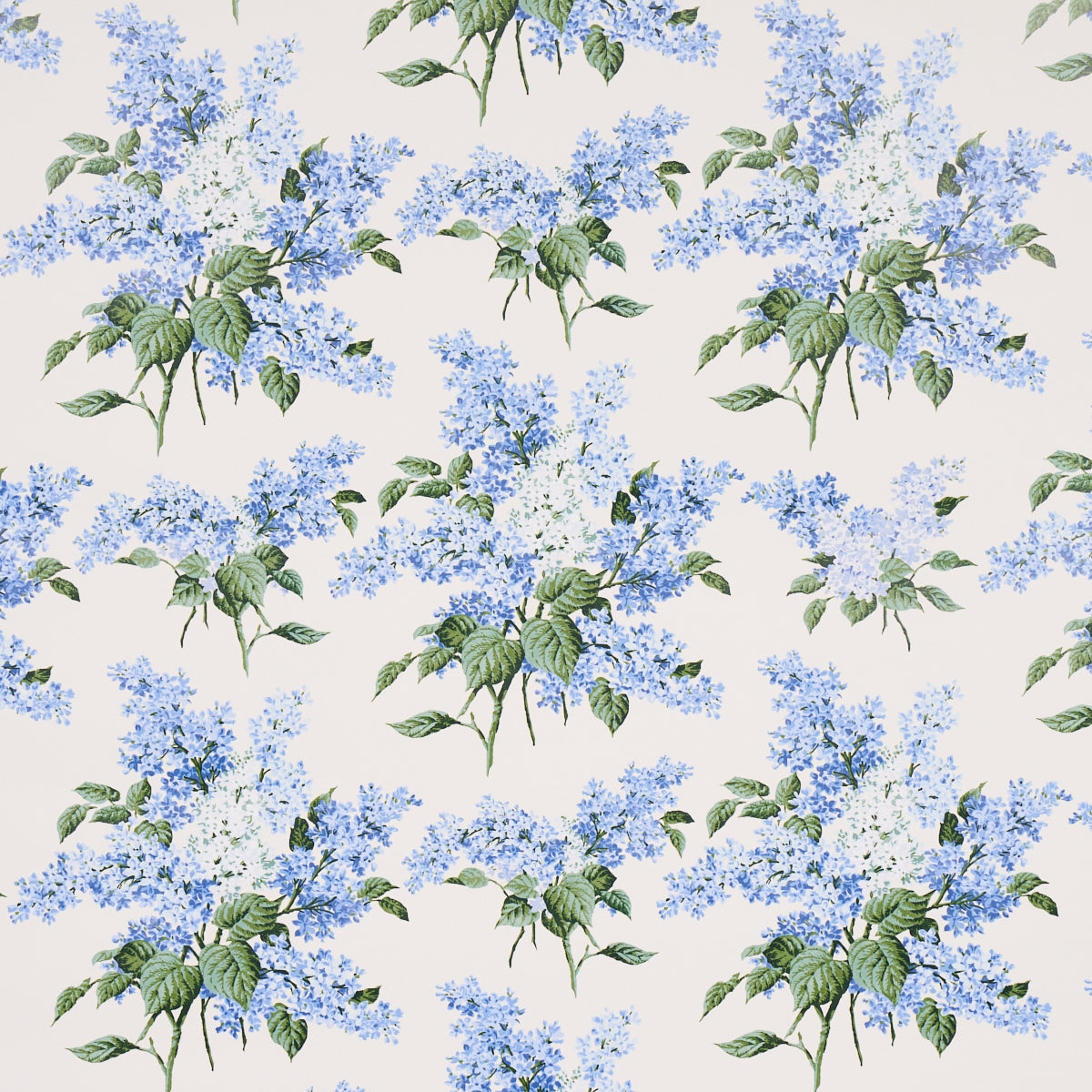 PROUST'S LILACS BLUE