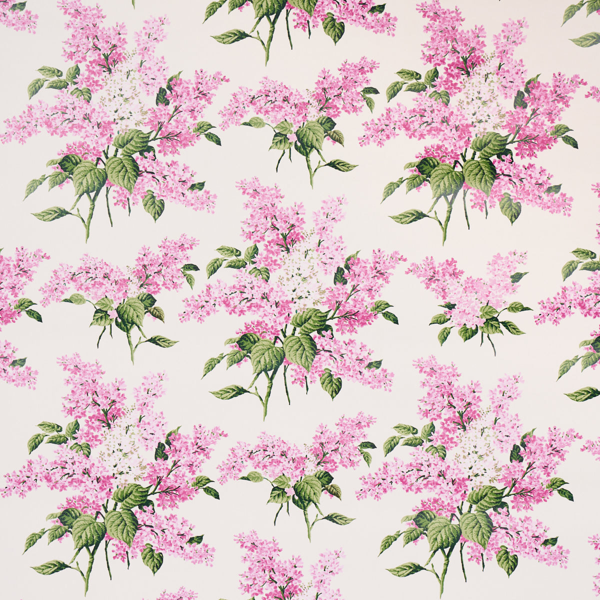 PROUST'S LILACS PINK