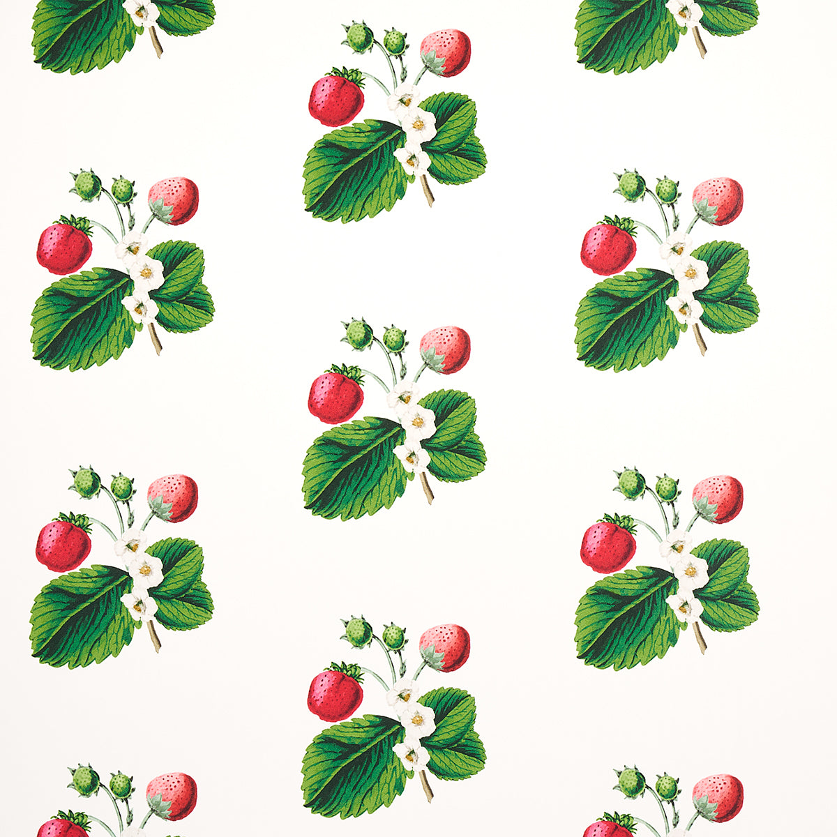 STRAWBERRY HILL WHITE