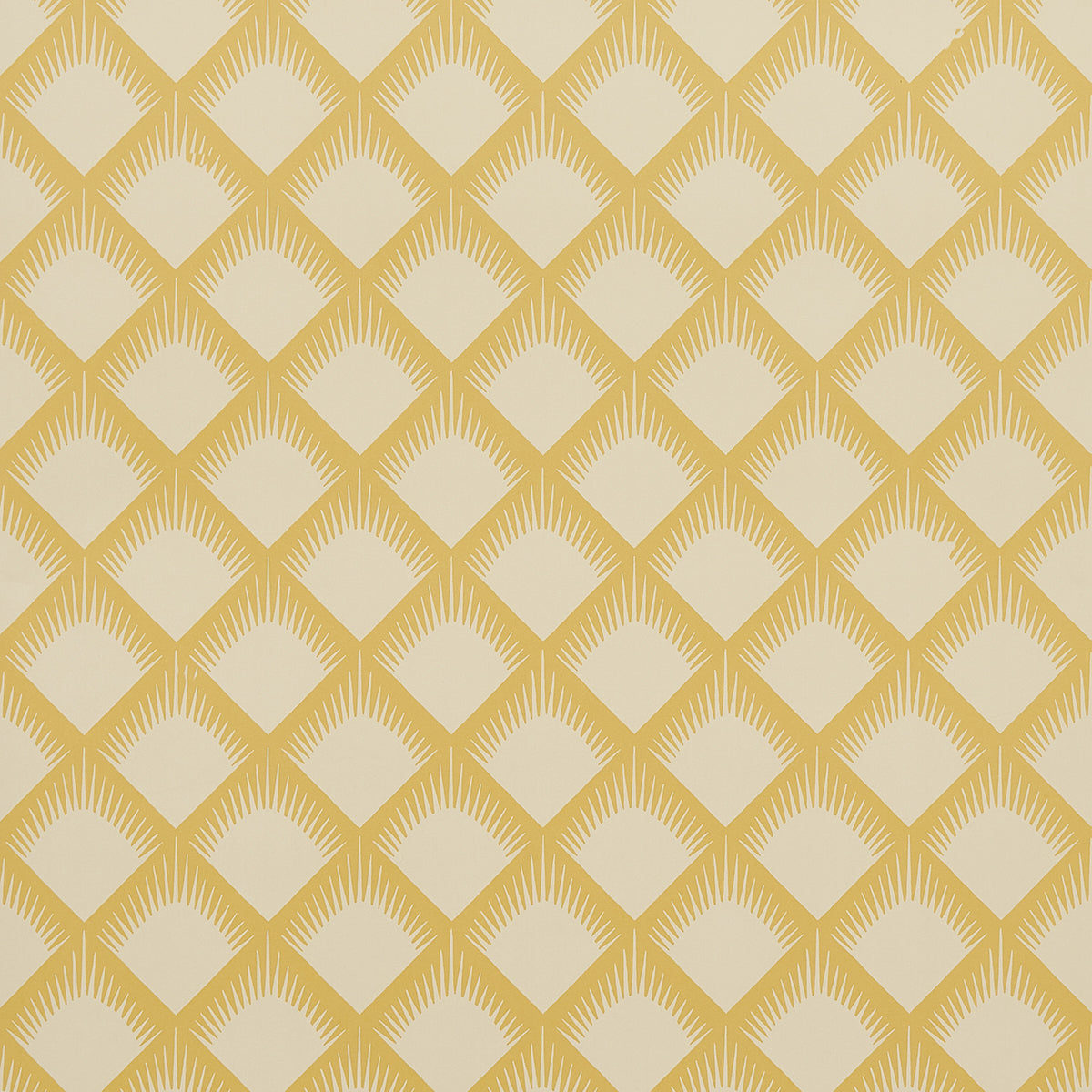 MAIZE MUSTARD
