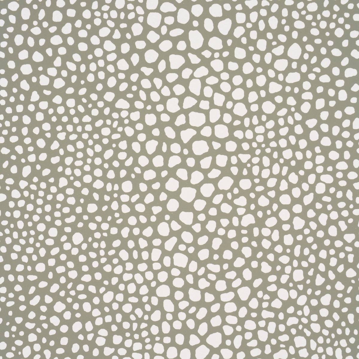 FICKLE TEXTURE KELP