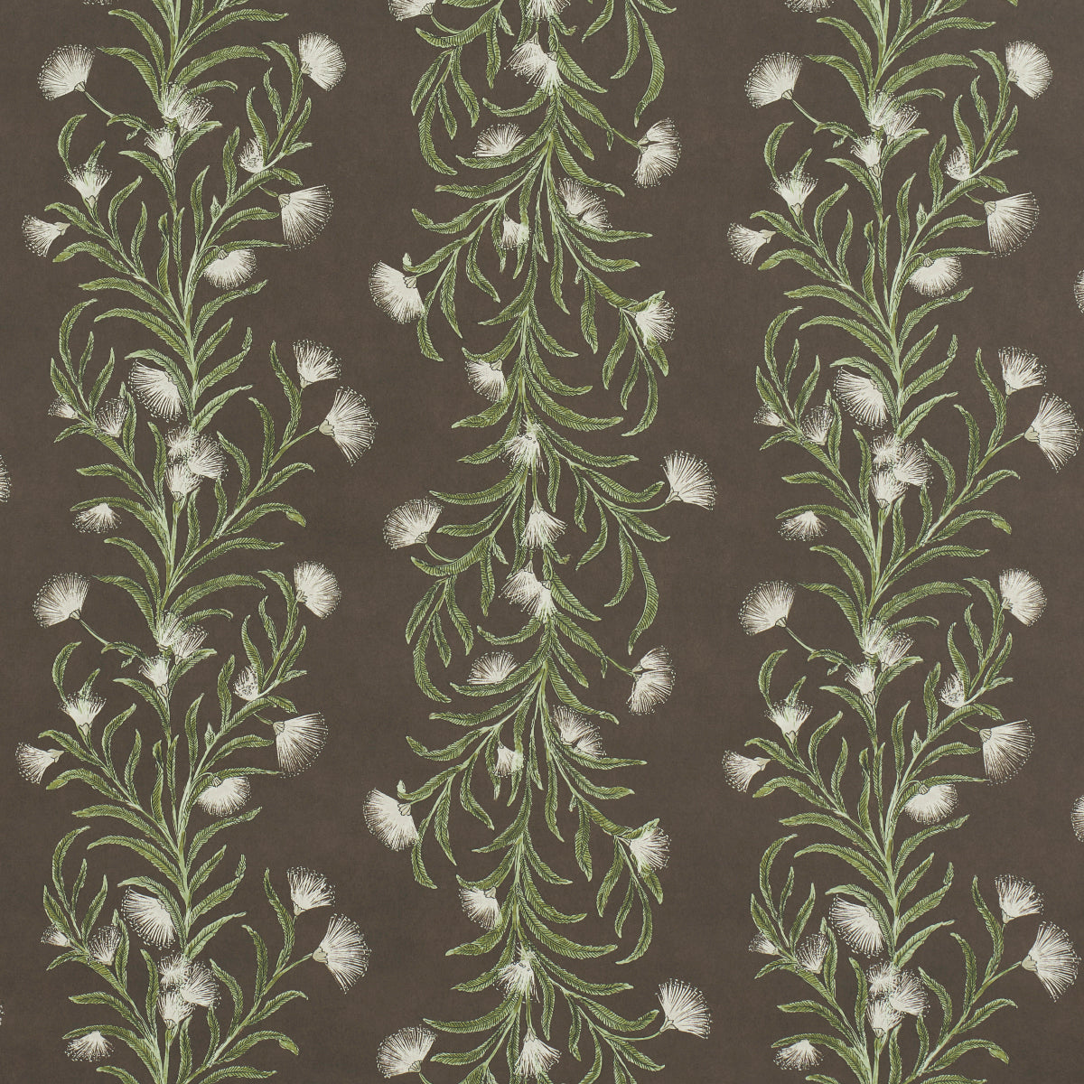 TASMANIAN MIMOSA BROWN &GREEN