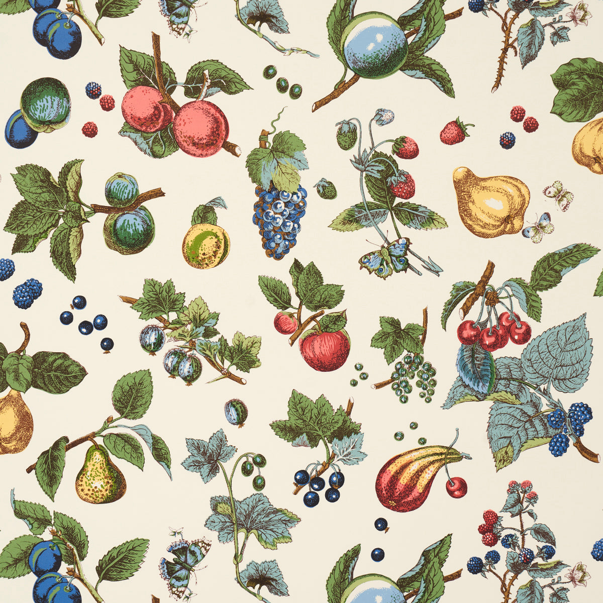 BERRY GROVE IVORY