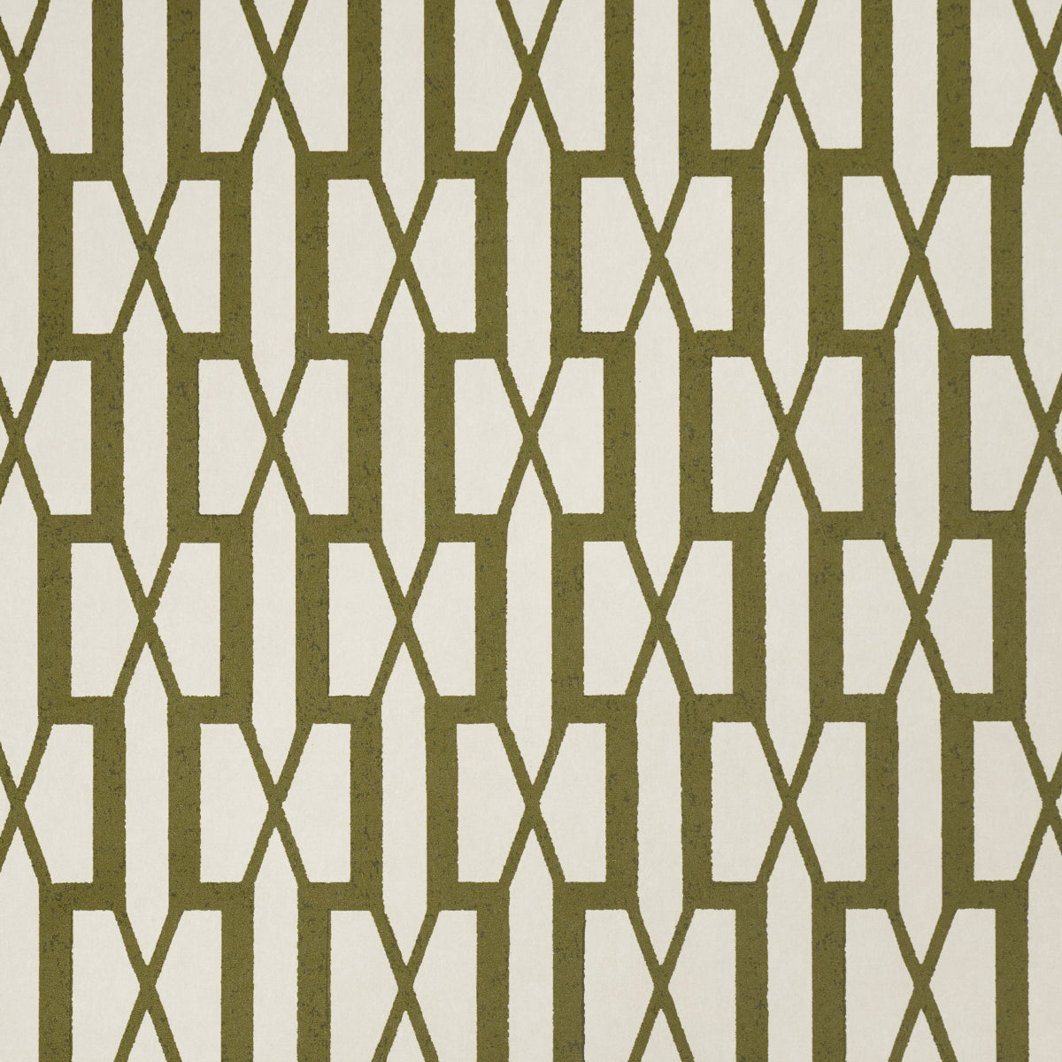 BELVEDERE OLIVE