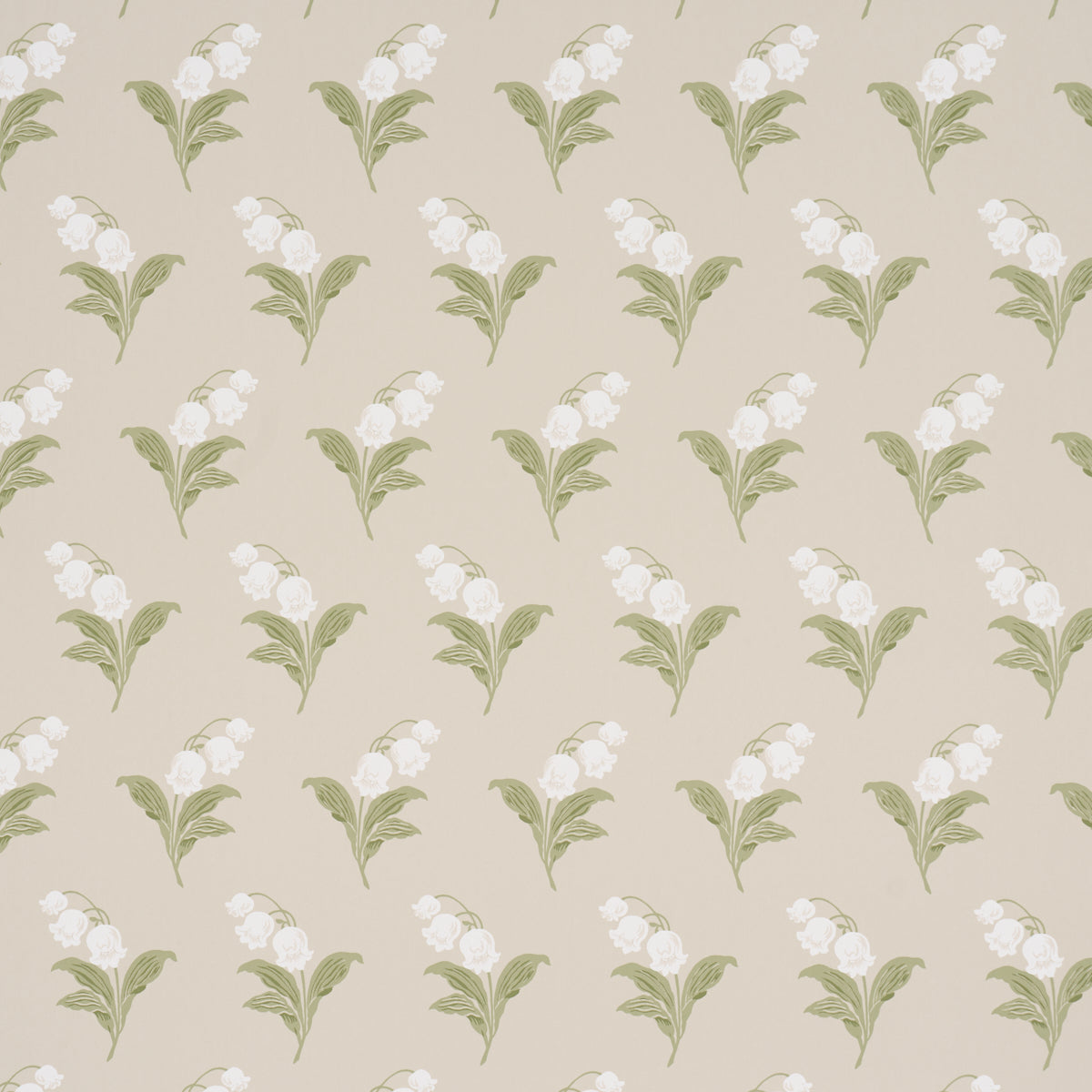 LILY OF THE VALLEY SPRING