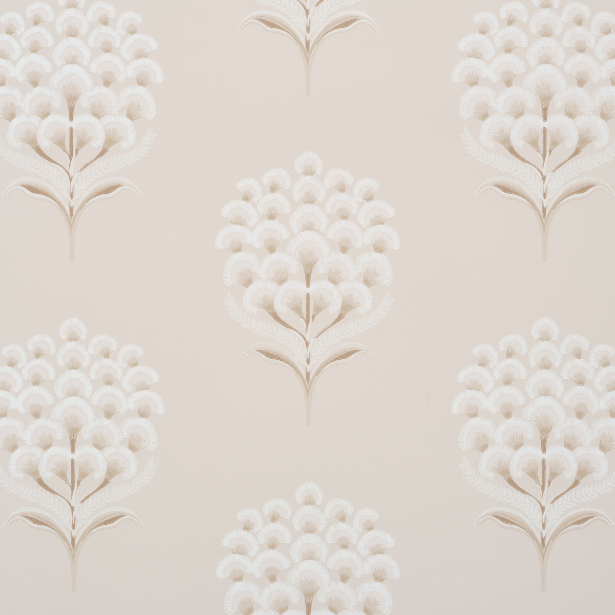 Aurelia Limestone