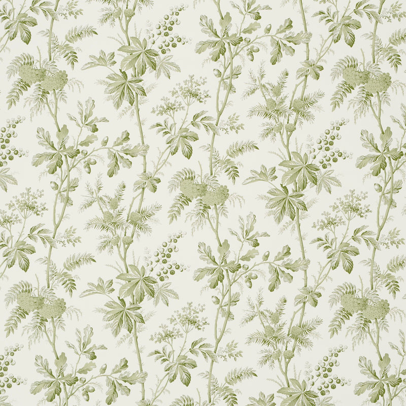 Schumacher Brantwood Vine Leaf  | Atlanta Fabrics