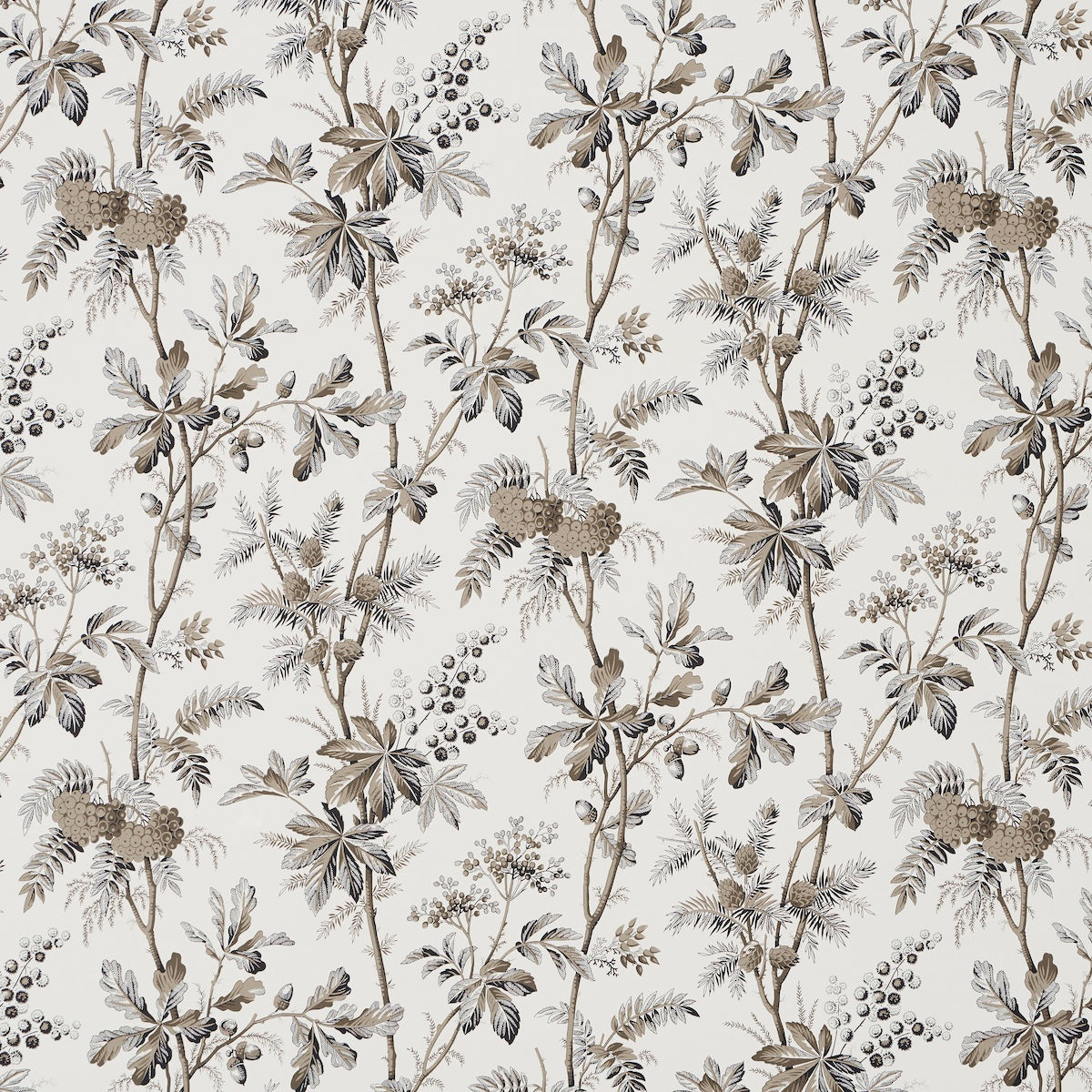 Brantwood Vine Graphite