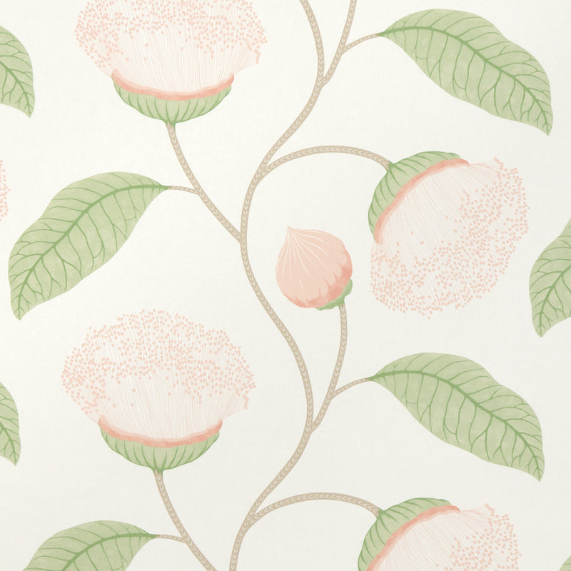 Schumacher Celinda Blush  | Atlanta Fabrics