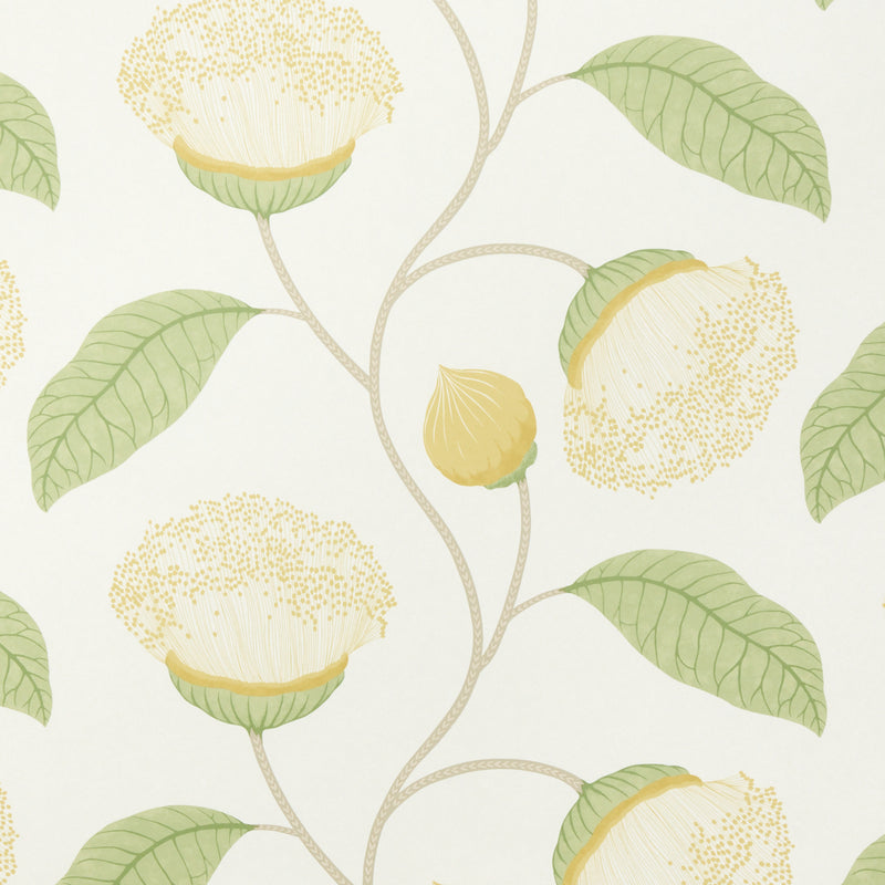 Schumacher Celinda Citrus  | Atlanta Fabrics