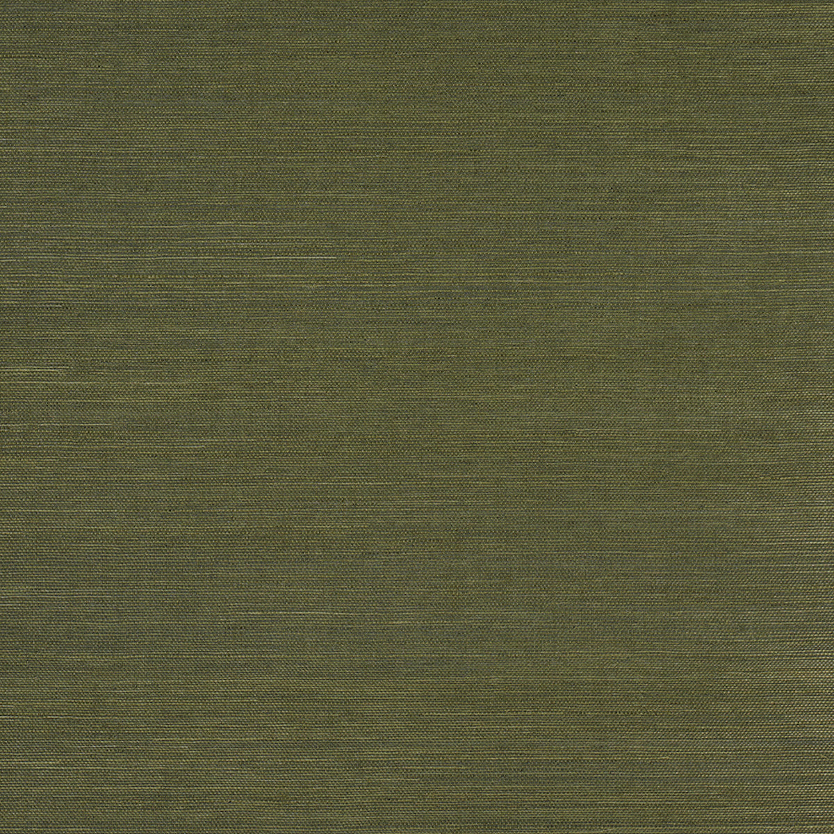 HARUKI SISAL NIGHT ON EARTH