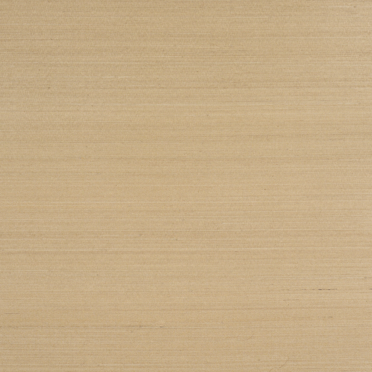 MUSA ABACA WALLCOVERING SOFT GOLD