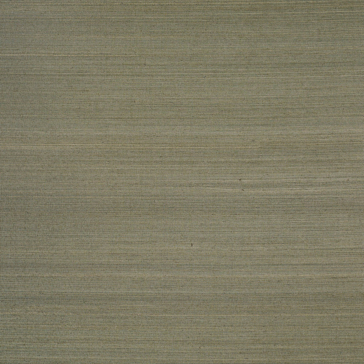 MUSA ABACA WALLCOVERING EUCALYPTUS