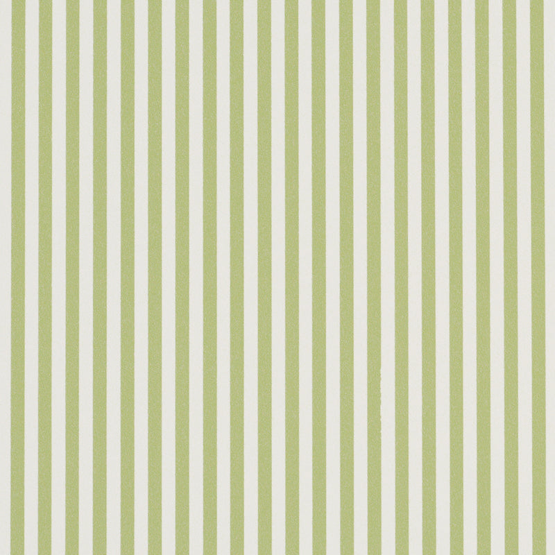 Schumacher Emma Stripe Narrow Leaf  | Atlanta Fabrics