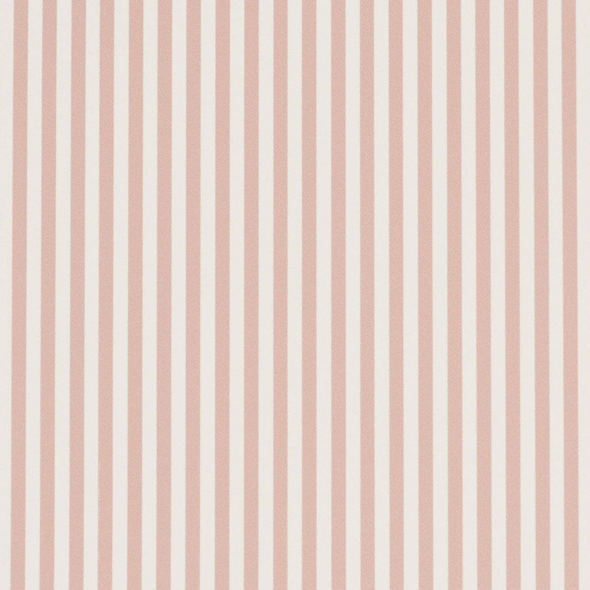 Emma Stripe Narrow Rose