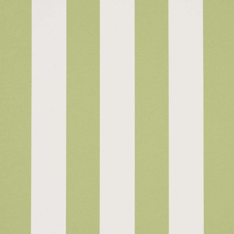 Schumacher Emma Stripe Leaf  | Atlanta Fabrics