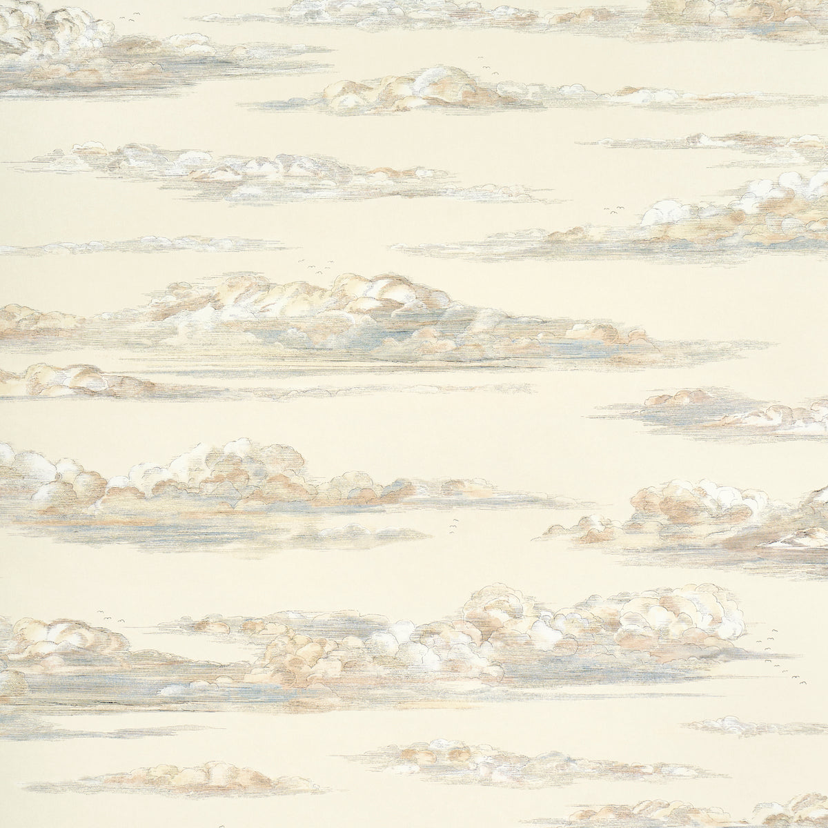 Mr. Darcy's Clouds Pemberley