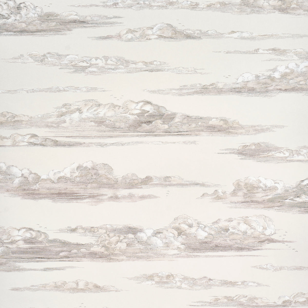 Mr. Darcy's Clouds Grisaille