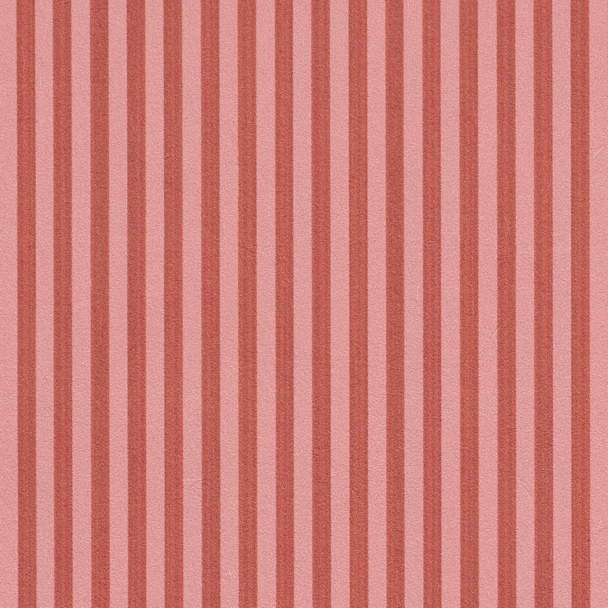 Edwin Stripe Narrow Sun Kiss