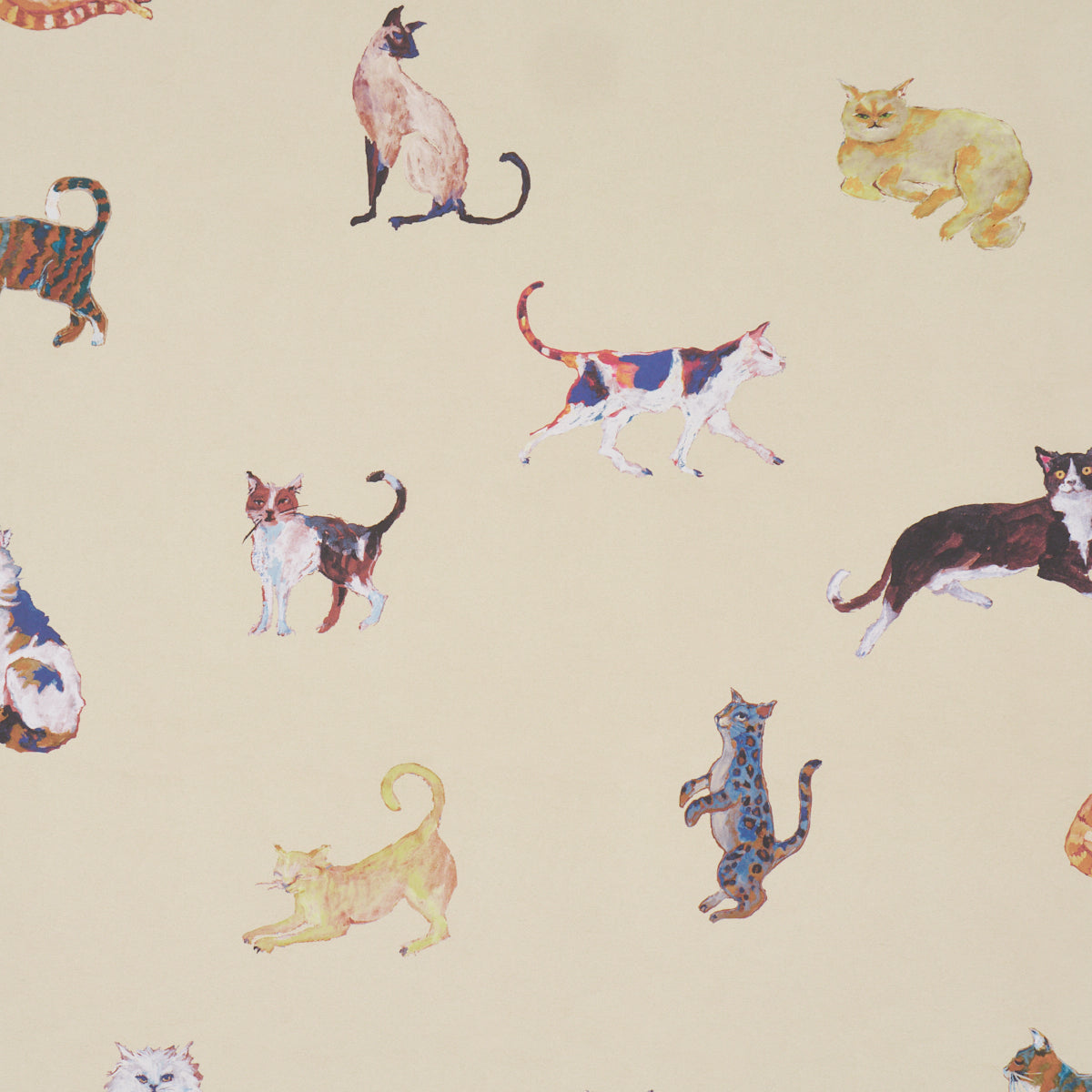 Cats Cream