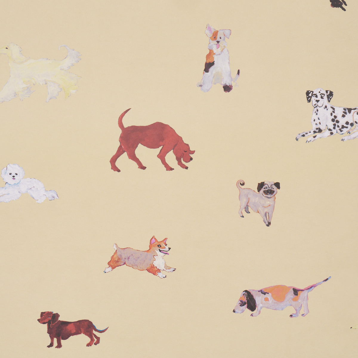 Dogs Butter