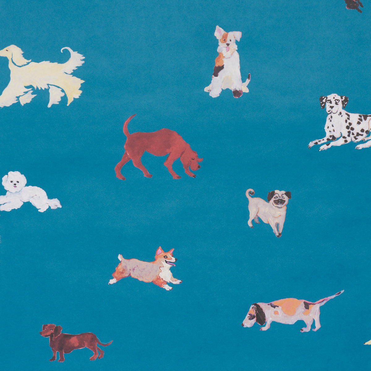 Dogs Cerulean