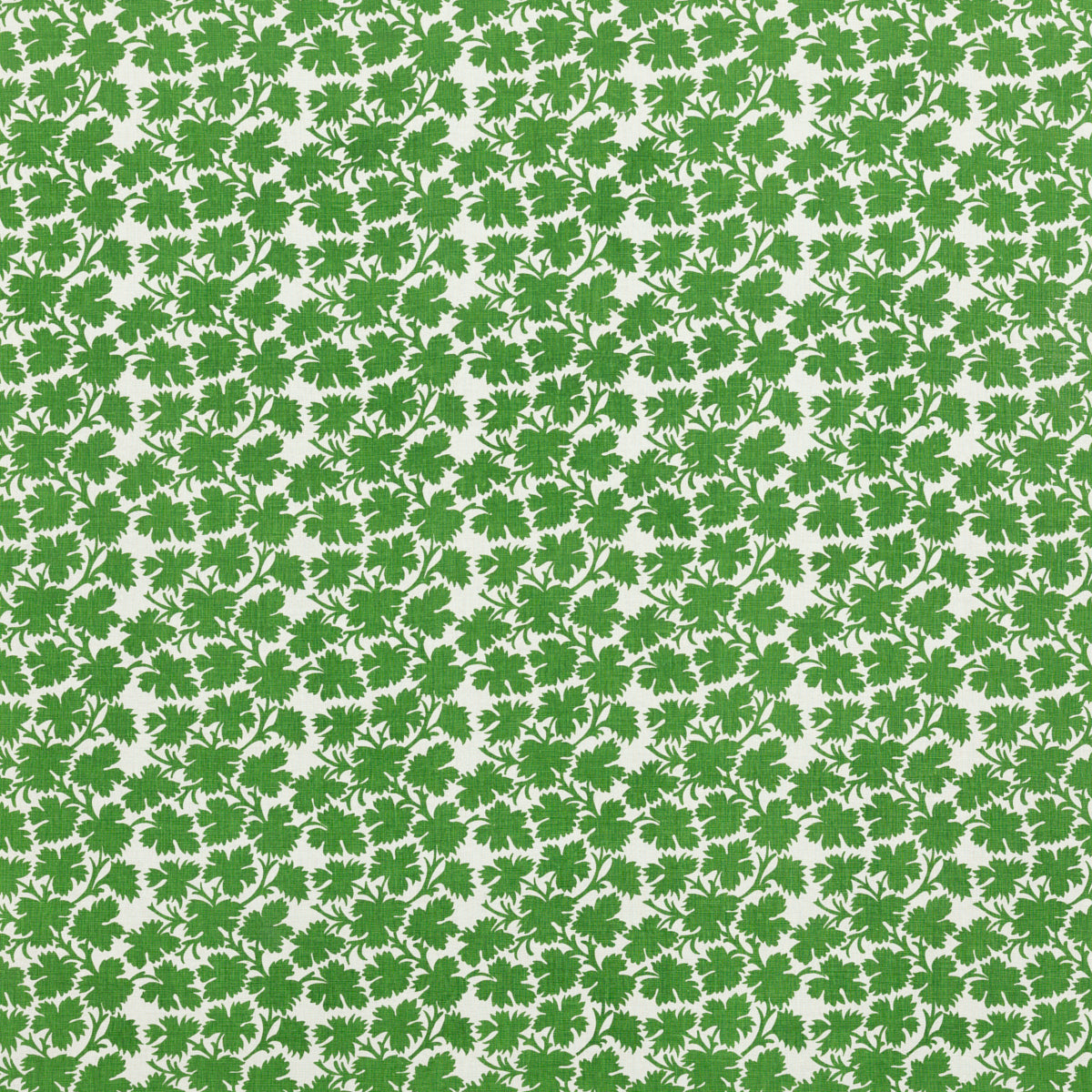 CLIVE ELEPHANT LEAF