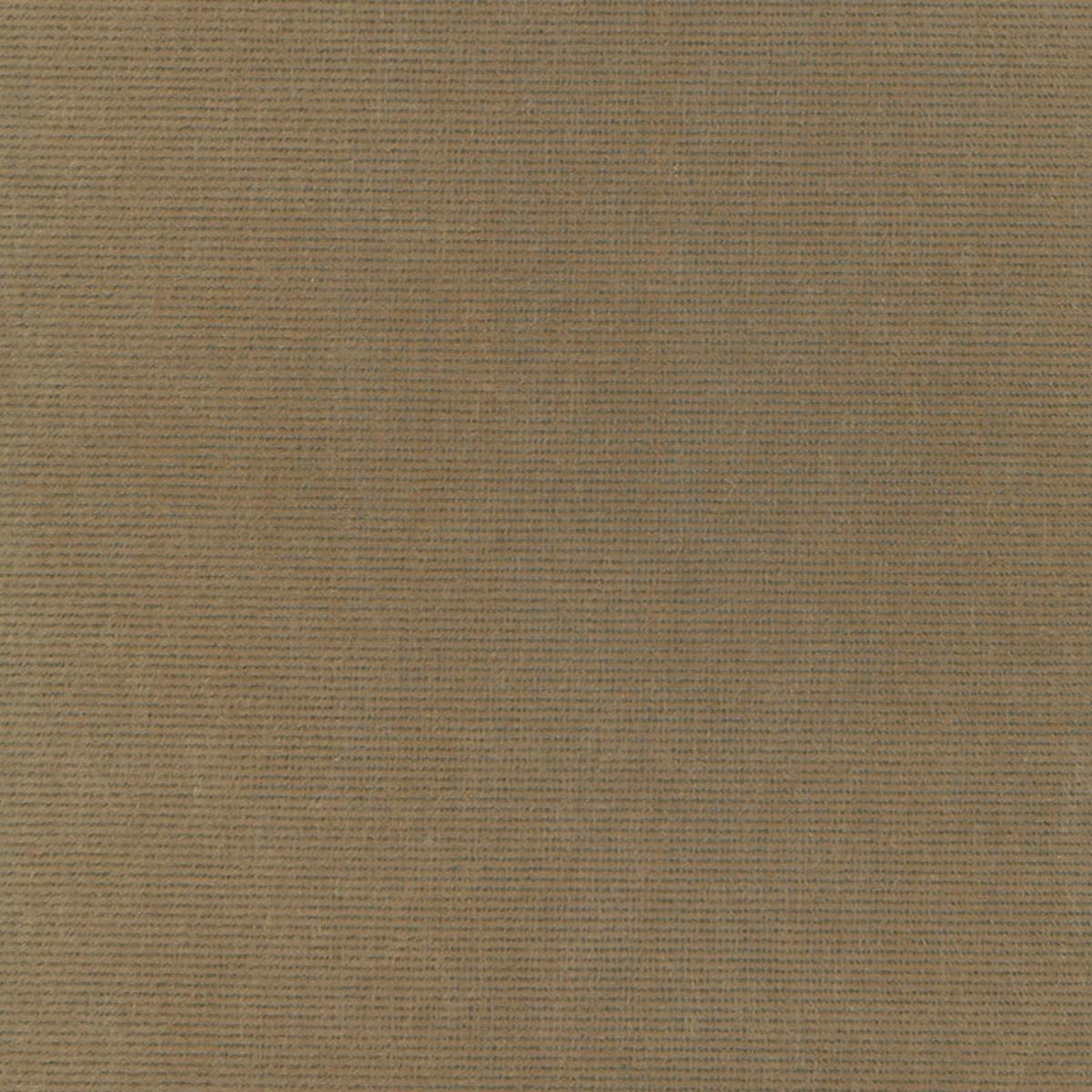 CHIAROSCURO VELVET MINK