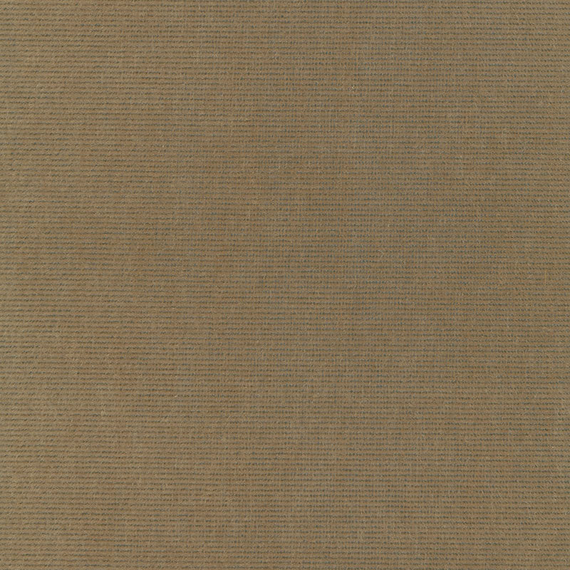 CHIAROSCURO VELVET MINK