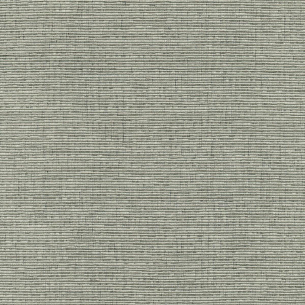 SCHUMACHER DELACROIX SILK OTTOMAN NICKEL FABRIC | Atlanta Fabrics