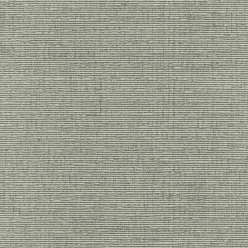 SCHUMACHER DELACROIX SILK OTTOMAN NICKEL FABRIC | Atlanta Fabrics