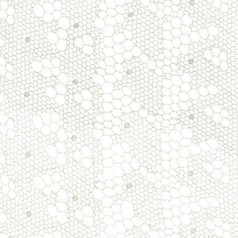 TRACERY LACE SHEER SILVER