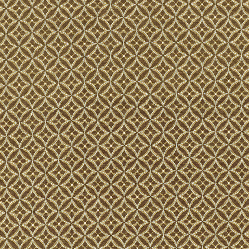 MARTINE WEAVE LICHEN