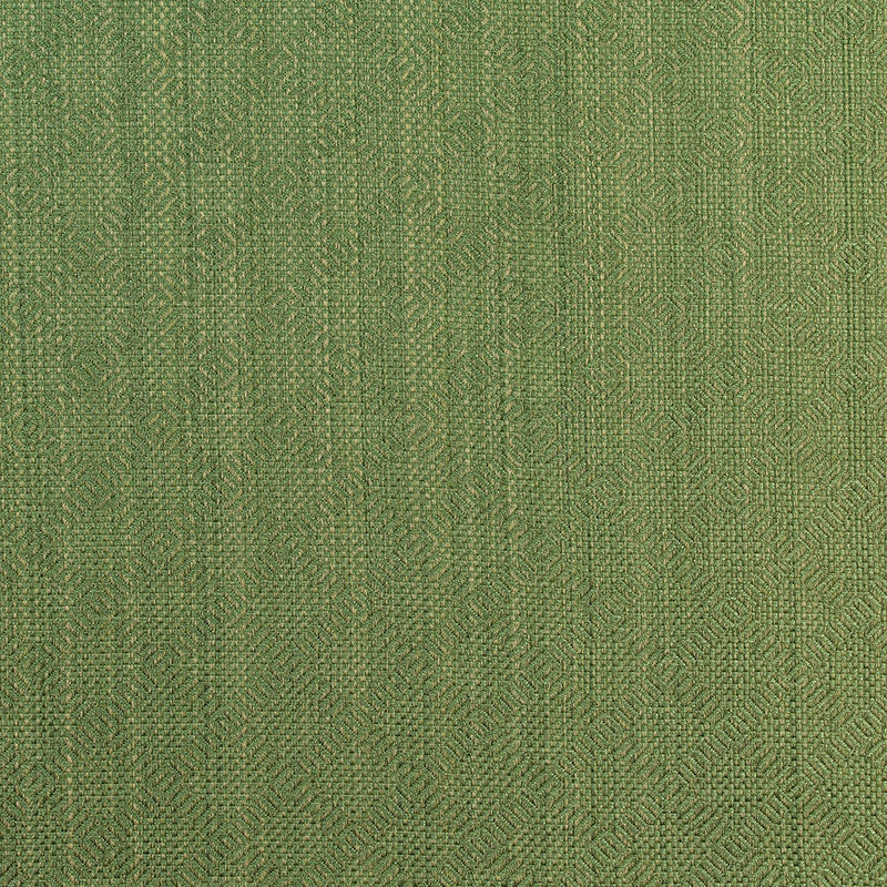 Schumacher VILLIS STRIÌä EMERALD Fabric | Atlanta Fabrics