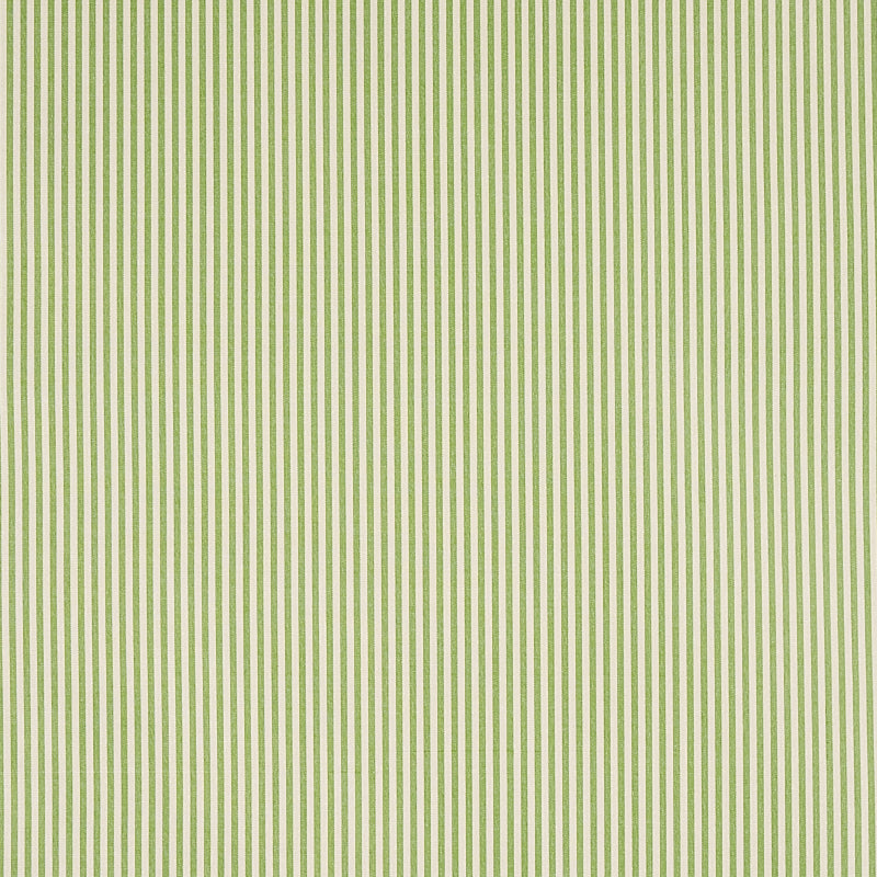Schumacher CHAREE SILK STRIPE GREEN Fabric | Atlanta Fabrics