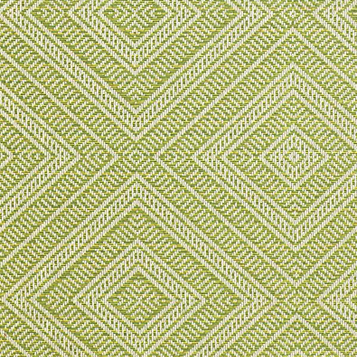SCHUMACHER TORTOLA INDOOR/OUTDOOR KIWI FABRIC | Atlanta Fabrics