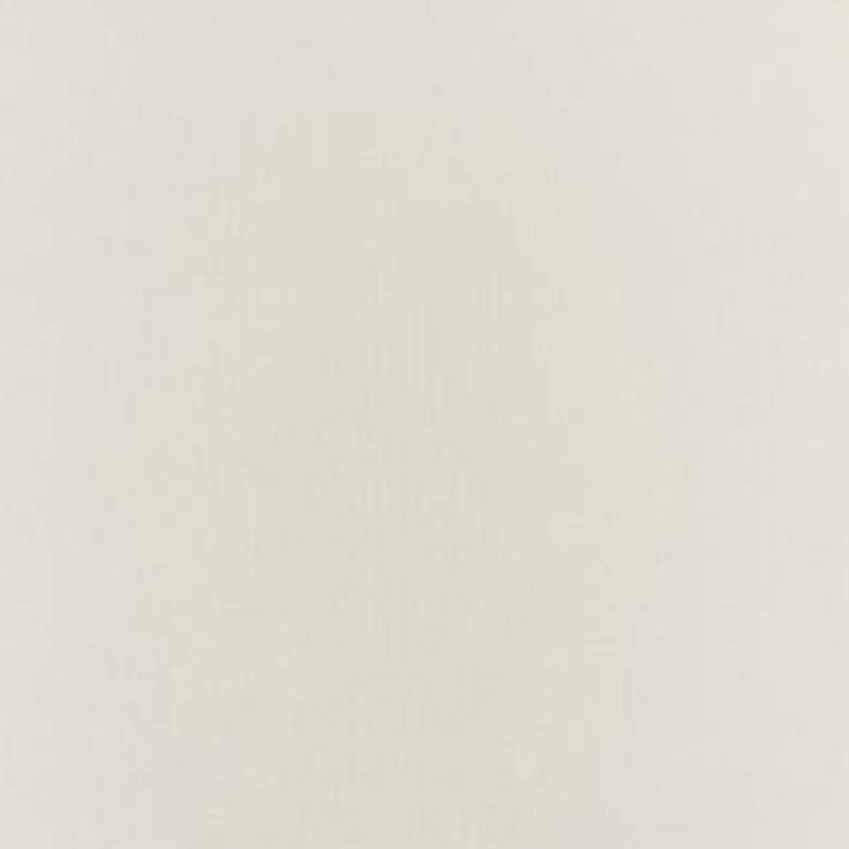 SCHUMACHER BOTTICELLI SILK TAFFETA BONE FABRIC | Atlanta Fabrics