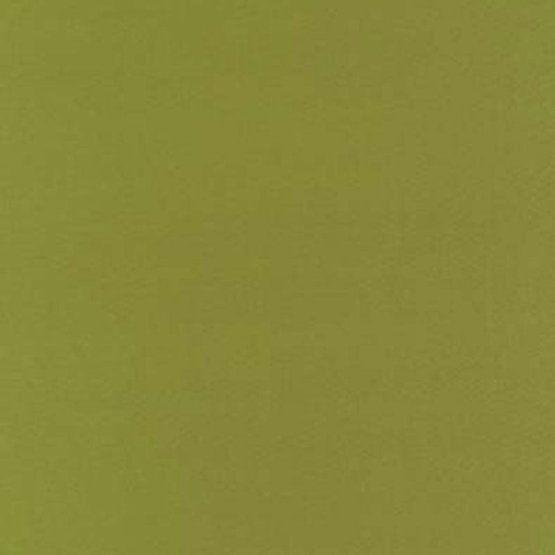 Schumacher BOTTICELLI SILK TAFFETA APPLE Fabric | Atlanta Fabrics