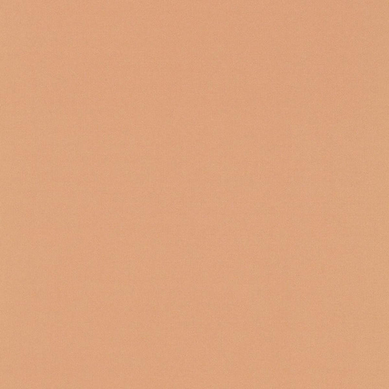 Schumacher GIORDANO TAFFETA CAMEO Fabric | Atlanta Fabrics