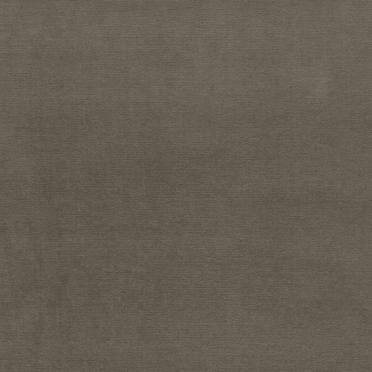 GAINSBOROUGH VELVET MOLESKIN