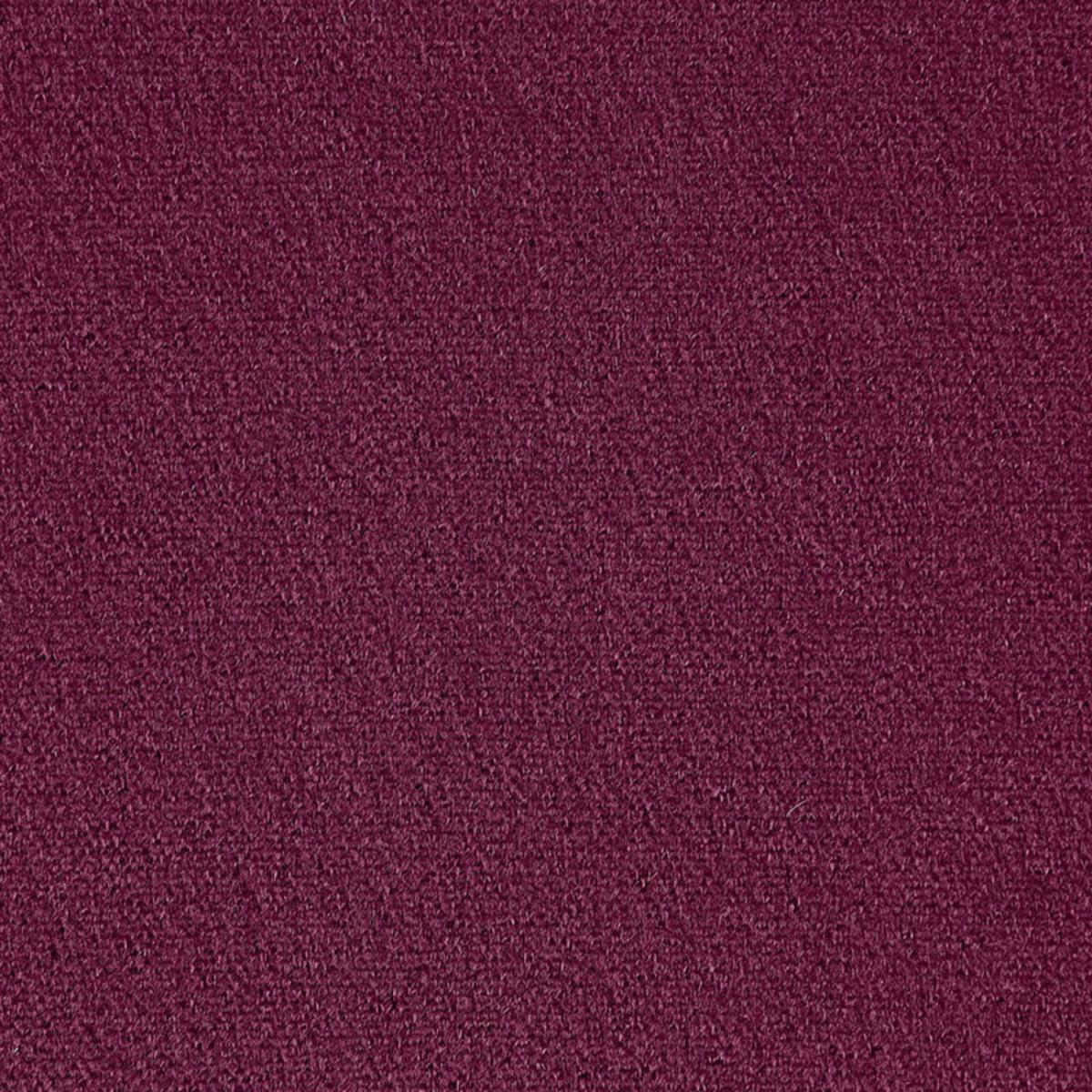 SAN CARLO MOHAIR VELVET GRAPE