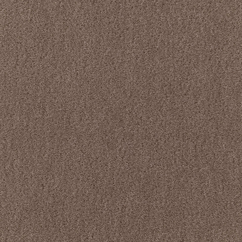 San Carlo Mohair Velvet Driftwood